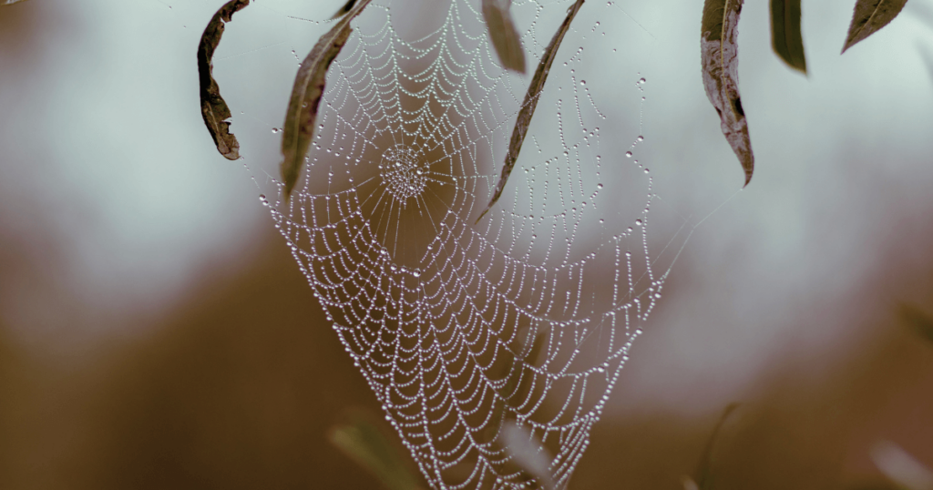 Free RSS Feed Submission Sites